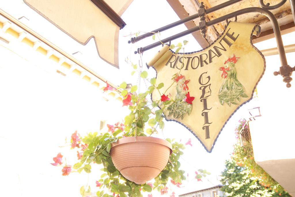 Albergo Ristorante Galli พิเอเวเพลาโก ภายนอก รูปภาพ